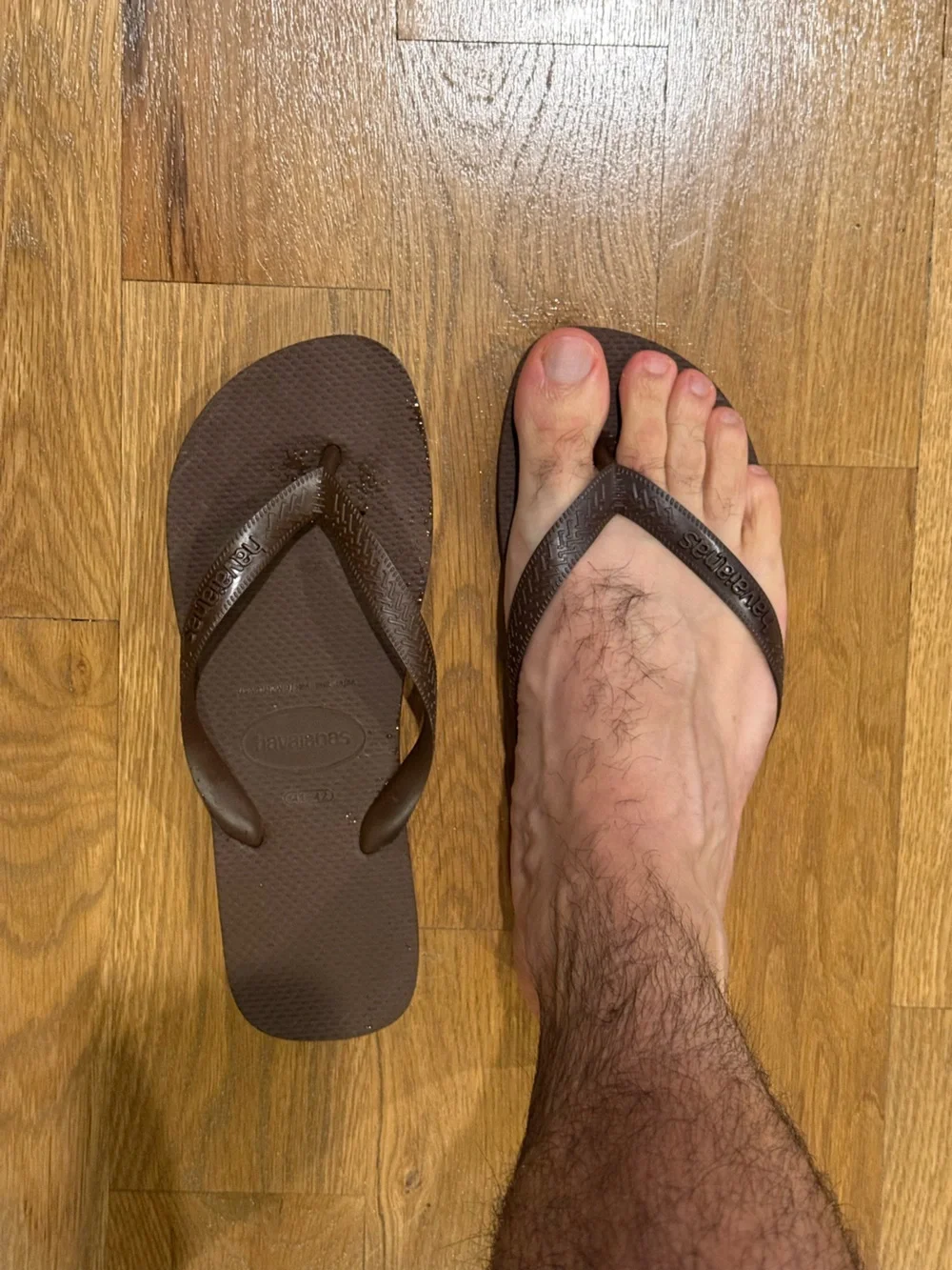Havaianas Brown Flip Flops 41/42